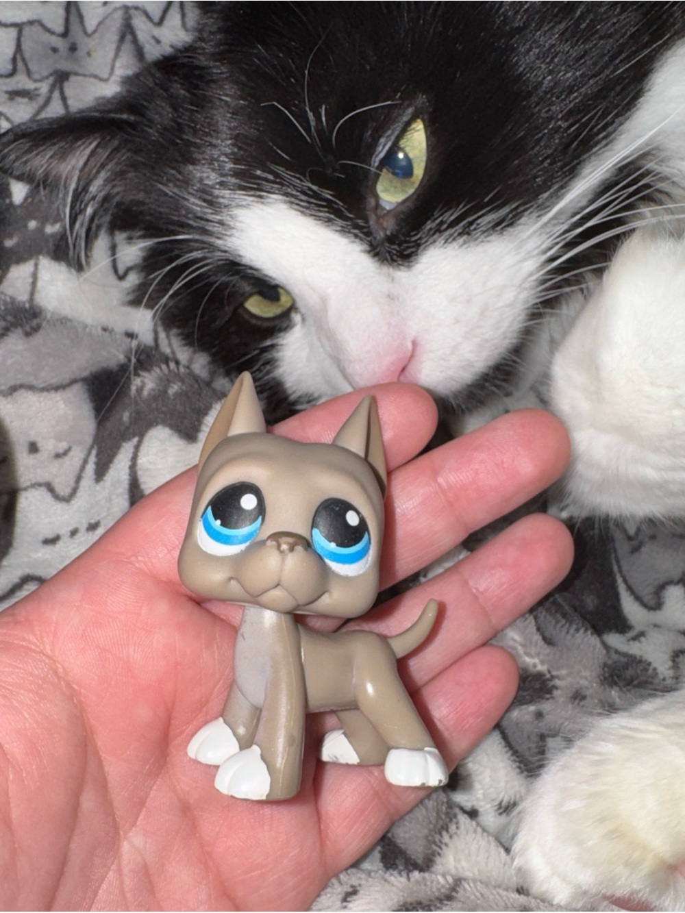 Littlest Pet Shop Authentic LPS #184 Grey Gray White Great Dane Dog Blue Eyes